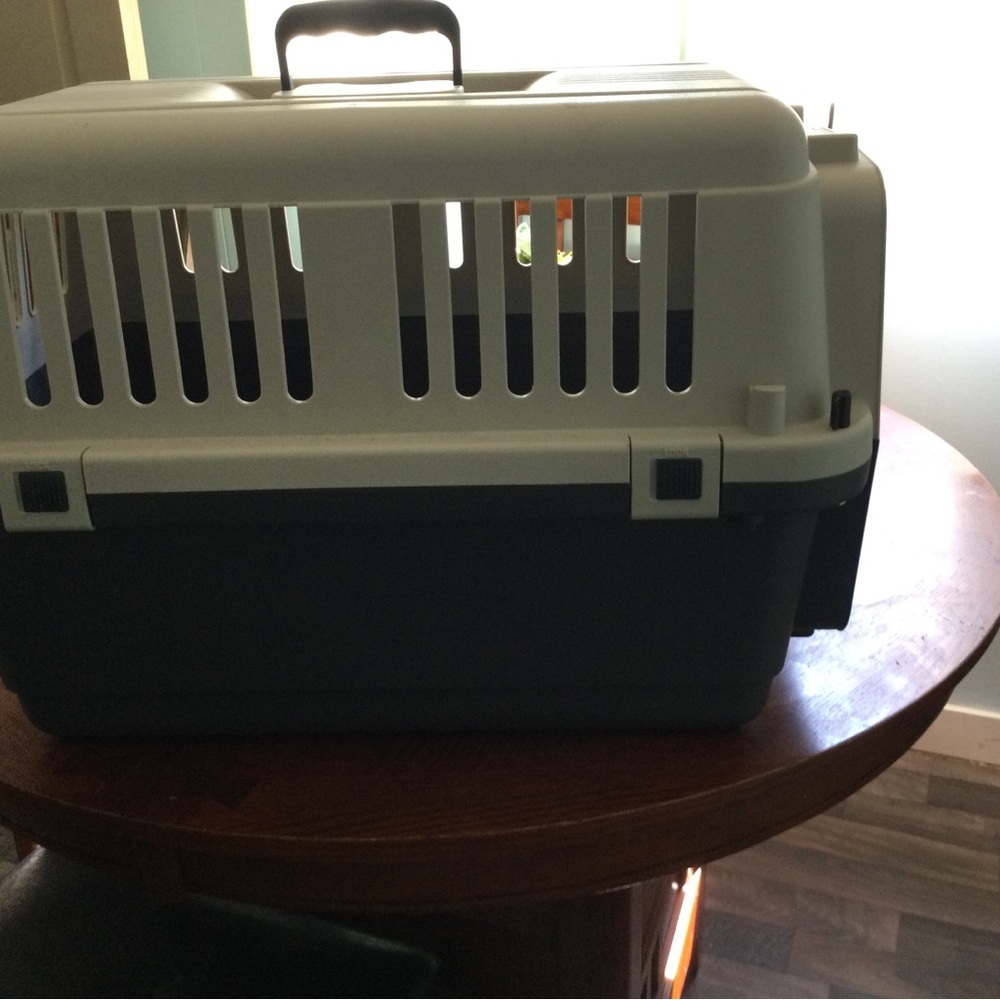 Hard covered pet Carrier for small animals